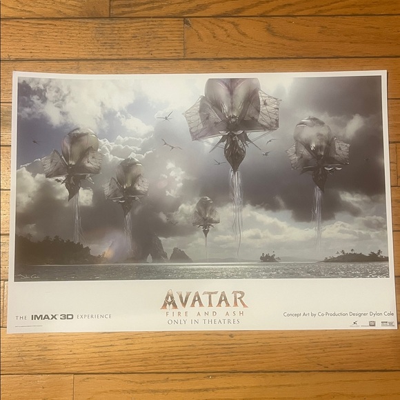 Avatar BUNDLE 2025 Fire and Ash Ticket, Posters, Pin, Notebook Friend Fam NEW - Picture 5 of 12